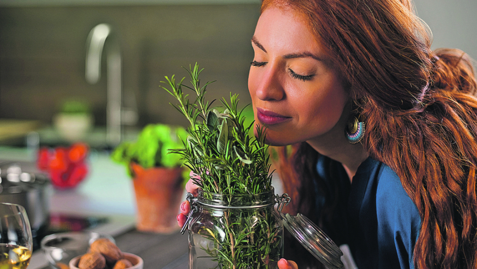 POPRAVLJA OŠTEĆENE DNK ĆELIJE Udisanje mirisa ove biljke poboljšava pamćenje i brzinu razmišljanja