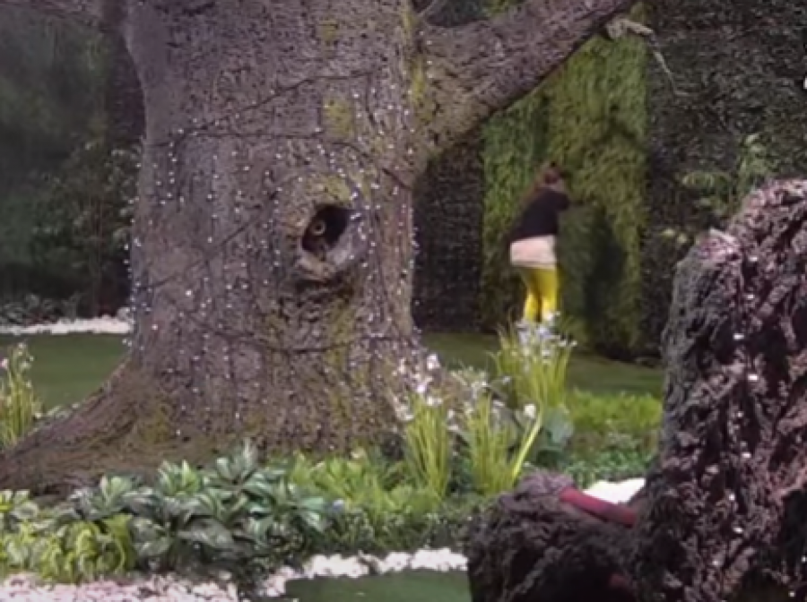 DALILA POKUŠALA DA POBEGNE IZ ZADRUGE Poludela zbog Cara, pa lomila sve pred sobom! (VIDEO)