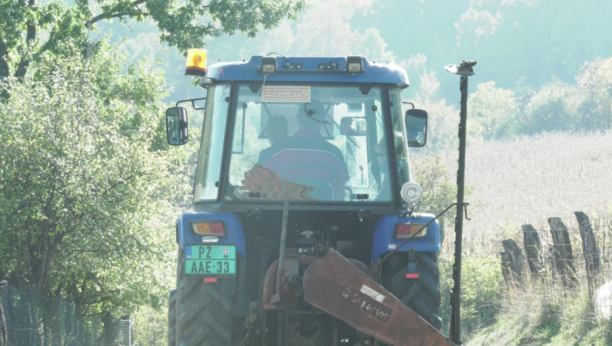 REKORDERKA NA IMANJU RADOJKA Džinovska tikva teška je skoro 70 kilograma i ne zna šta da radi sa njom (FOTO)