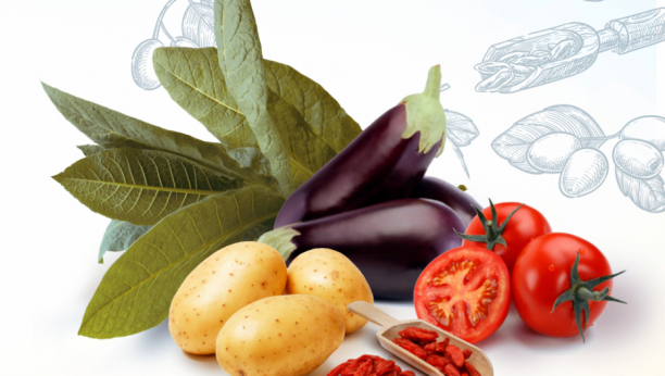 Ovo niste znali o nikotinu