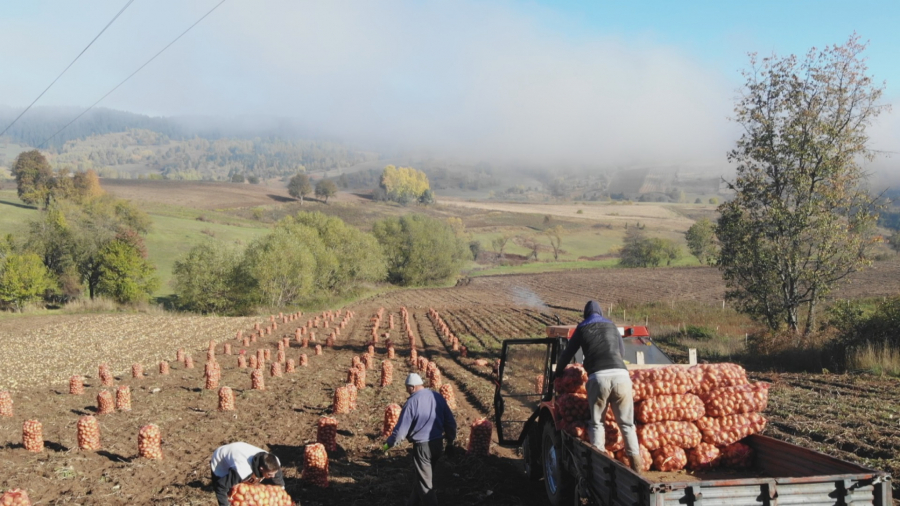UŽICE IMA SVOG SUPERHEROJA Vesna Draškić je žena koja vraća veru u ljude, pomaže srpskom seljaku da ono što proizvede dođe i do kupaca (FOTO)