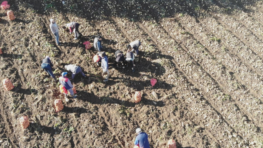 UŽICE IMA SVOG SUPERHEROJA Vesna Draškić je žena koja vraća veru u ljude, pomaže srpskom seljaku da ono što proizvede dođe i do kupaca (FOTO)