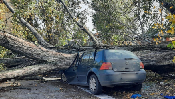 JEZIVE SLIKE SA BEOGRADSKIH ULICA Olujno nevreme pogodilo prestonicu, jaki udari obarali stabla! Uništeni automobili (FOTO)