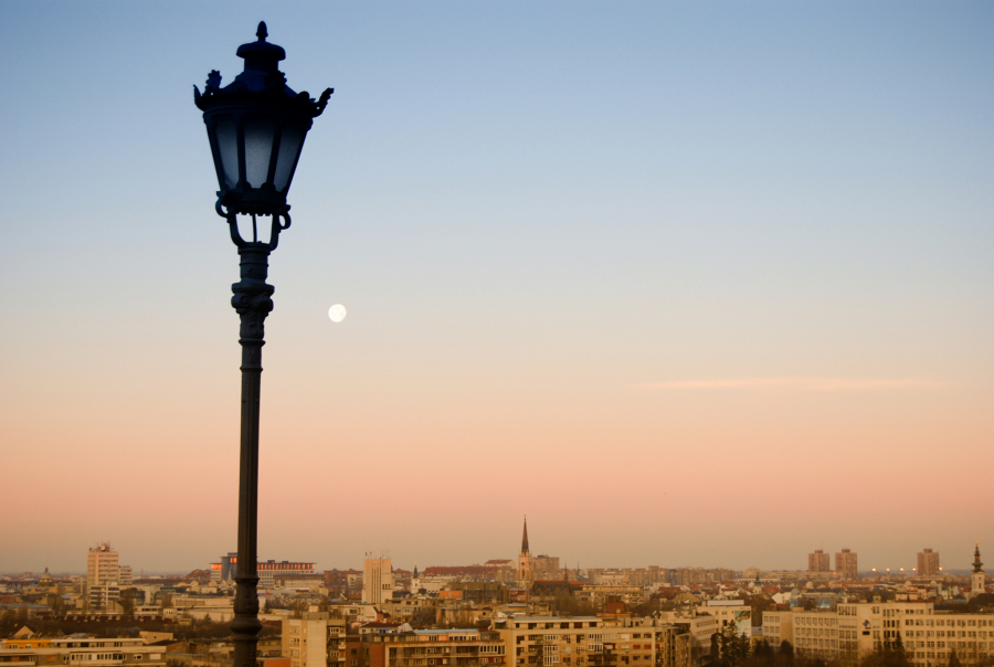 NOVI SAD SVE ZELENIJI Preko 50 lokacija u gradu dobiće NOVI izgled