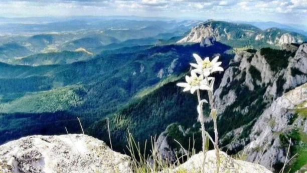 HOROSKOP ZA SUBOTU, 13. NOVEMBAR Ovan dobija darove sudbine, Vodolija je pod stresom, Blizanci merkaju zanimljivu osobu
