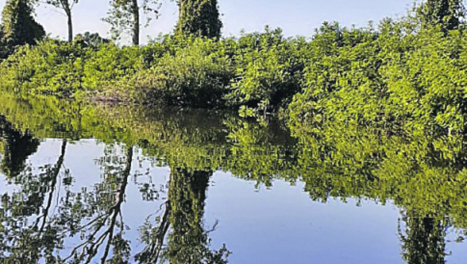 UTVRĐENO JE O KOME SE RADI Identifikovan leš koji je izvučen iz Dunava