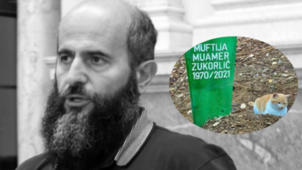 PRETUŽNO Mačak preminulog muftije Zukorlića ne ide od njegovog groba ni po najvećoj kiši! (FOTO)