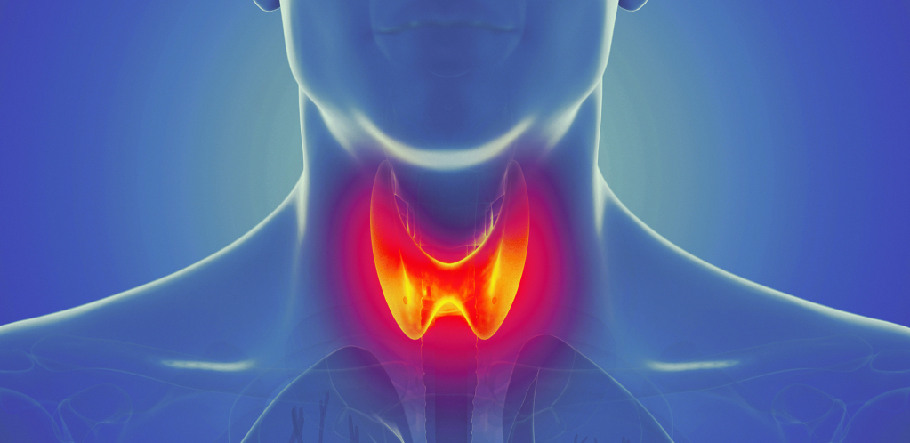 PROMENITE REŽIM ISHRANE Olakšajte simptome Hašimota