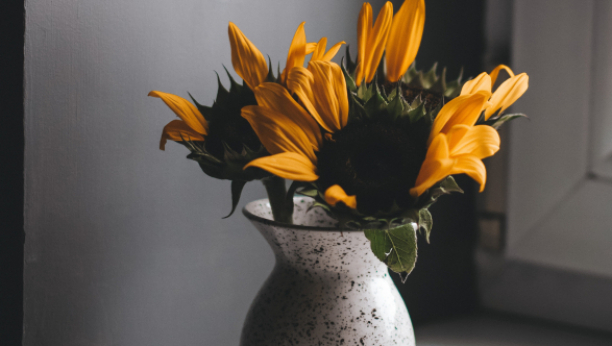 DA VAM CVEĆE BUDE SVEŽE DANIMA Ako stavite ovu tabletu u vodu, buket će mirisati kao da ste ga tek ubrali