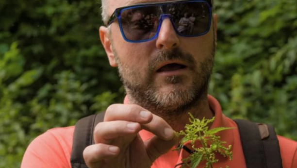 TRAVAR MOMČILO IMA "LEK" I ZA PUŠAČE Ovaj čaj će vam očistiti pluća od nikotina i katrana, evo šta je sve potrebno za čarobni napitak!