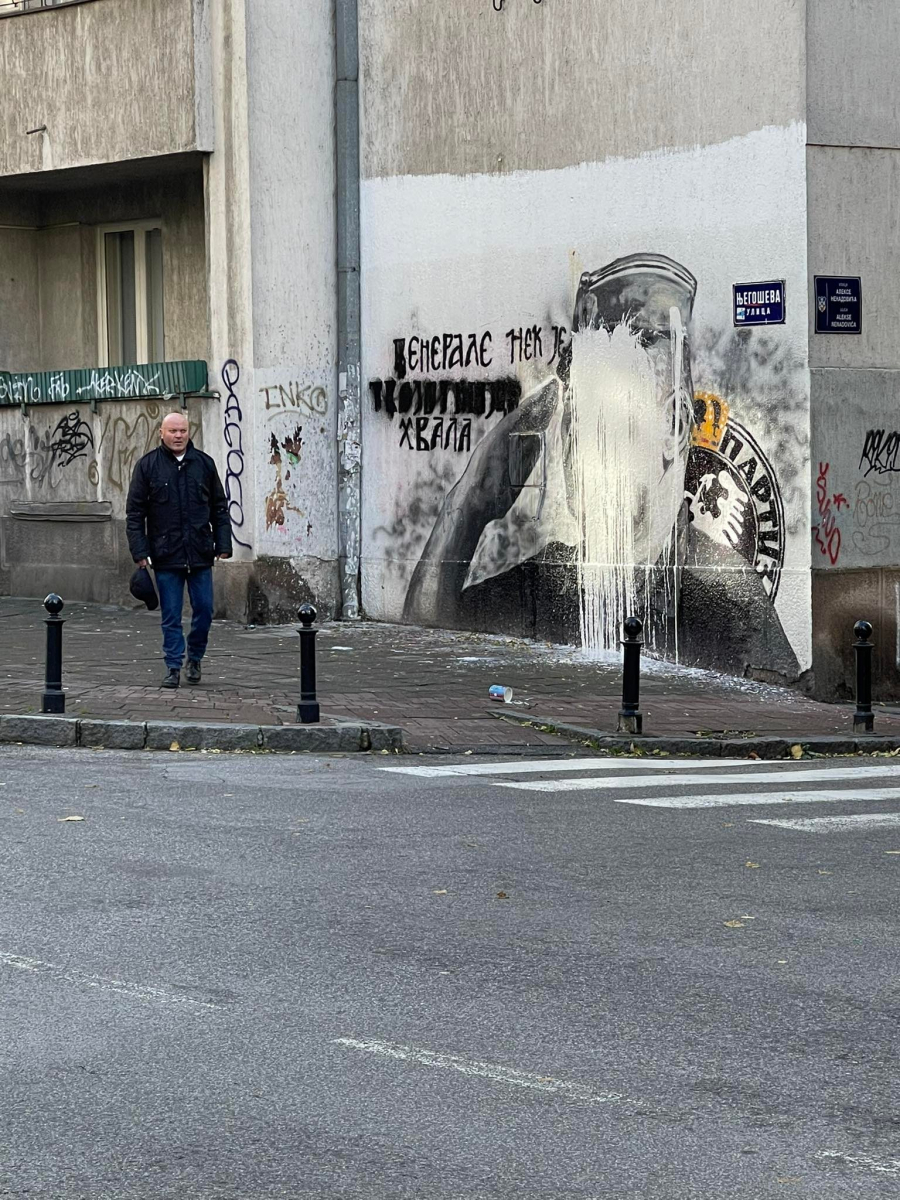 KO JE AIDA ĆOROVIĆ? Direktorka organizacije koju je finansirao Soroš, član nekoliko partija i borac za ljudska prava, ali samo kada treba da se napadne nešto srpsko