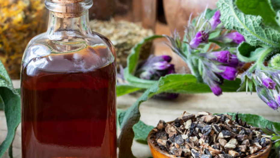 BILJKA KOJA ZAUSTAVLJA VREME Njen koren dokazano zateže i podmlađuje kožu