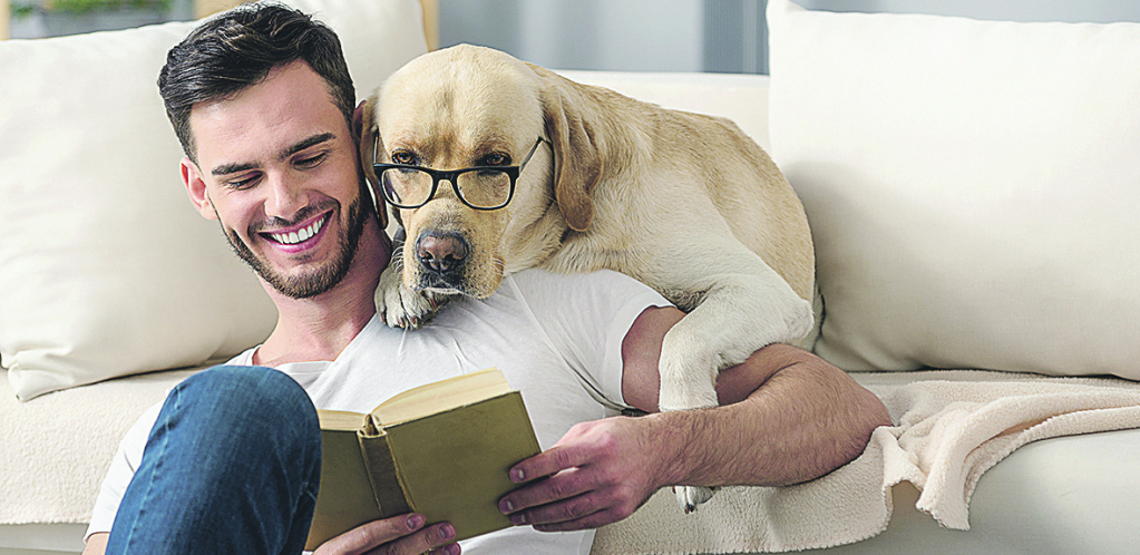 RASE KOJE RAZUMEJU LJUDE Najbolje dresirani psi