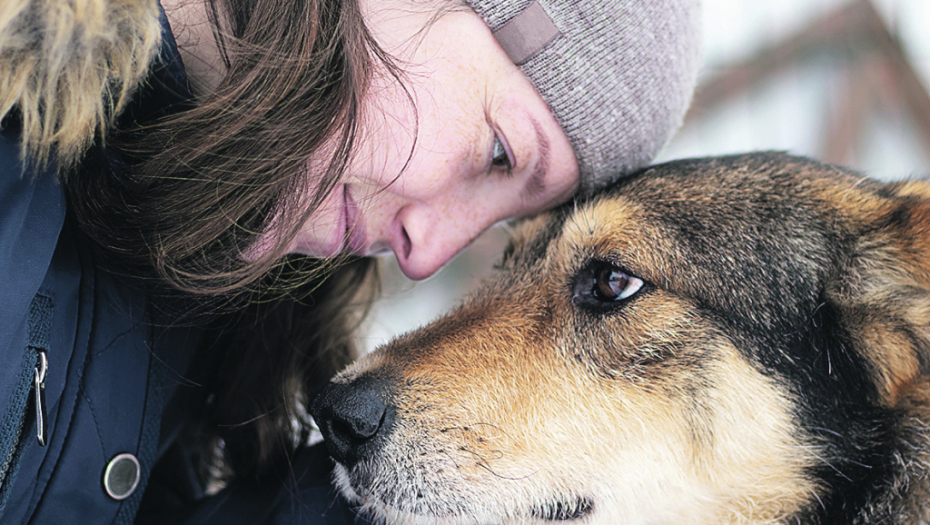 Pas određenim ponašanjima šalje poruke: Vaš kućni ljubimac otkriva šta želi pomoću govora tela