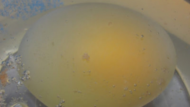 VEKOVIMA ČUVANA TAJNA: Drevni eliksir sa ljuskama od jaja, po receptu japanskih samuraja, za zdrave kosti i podizanje energije