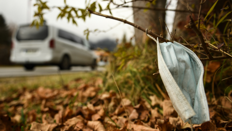 KORONA U BUDUĆNOSTI Sezonski virus ili stalna borba?!