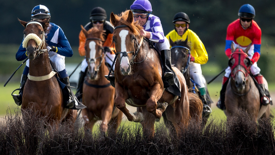 Slatki poljubac smrti i džokej koji je mrtav pobedio u trci (VIDEO)