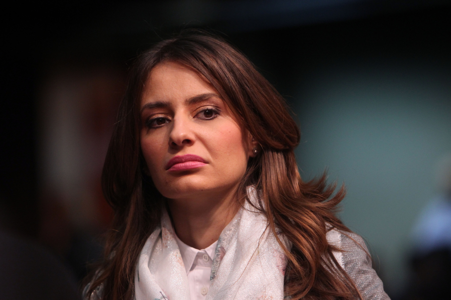 VAJNI PROFESOR PRAVA Pajtić za Anu Brnabić govorio:  