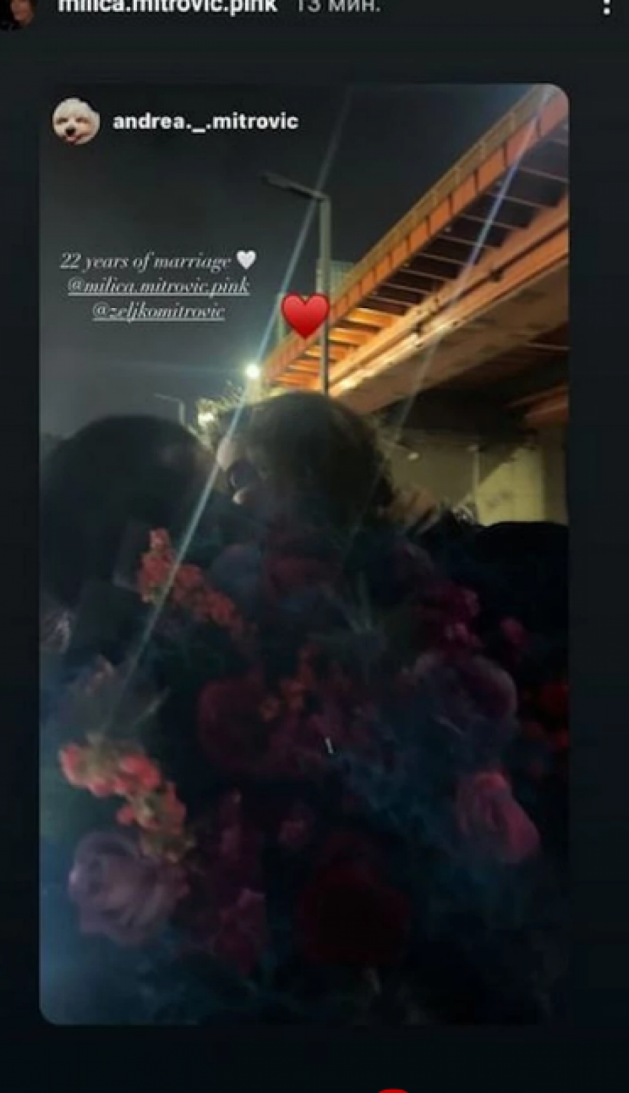 PROSLAVILI 22 GODINE BRAKA! Željko Mitrović i Milica zagrljeni, a ćerka podelila emotivne trenutke iz privatnog života, jedan detalj su svi primetili