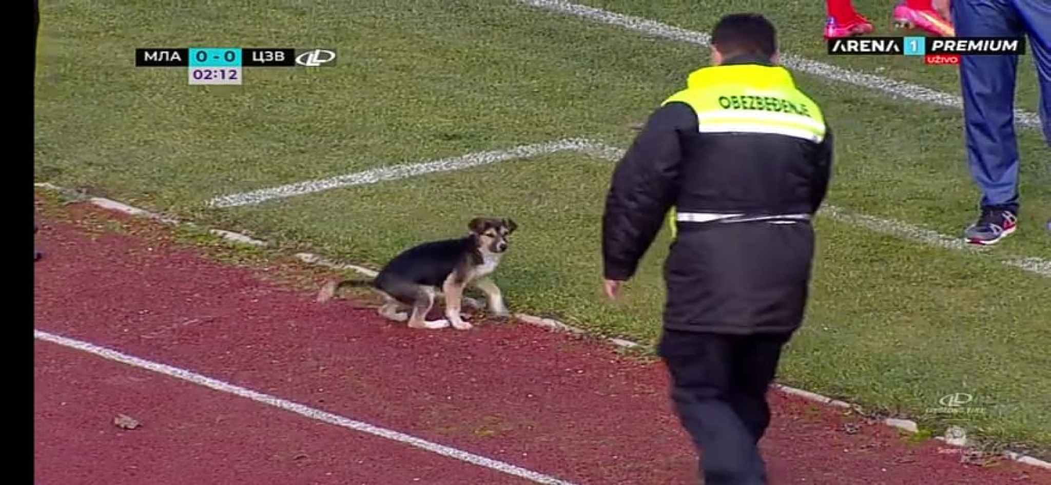 HIT SCENA IZ LUČANA! Dejan Stanković dobio novog pomoćnika, već je počeo da 