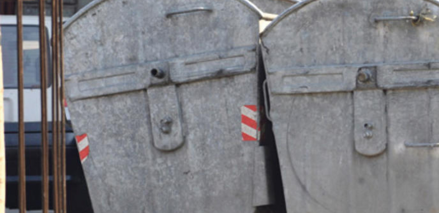 SLUČAJ KOJI JE UZNEMIRO JAVNOST PRE DVE GODINE Šta se dešava sa majkom i babom koje su bacile bebu u kontejner?