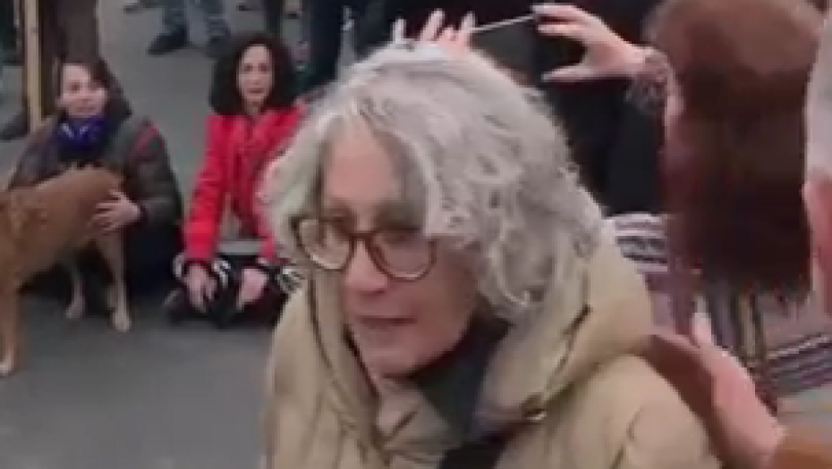 METRO ZA BEOGRAĐANE ZA NJU JE GENOCID?! Aida Ćorović sa Đilasom, Jeremićem i Marinikom komanduje zaustavljanje gradnje!