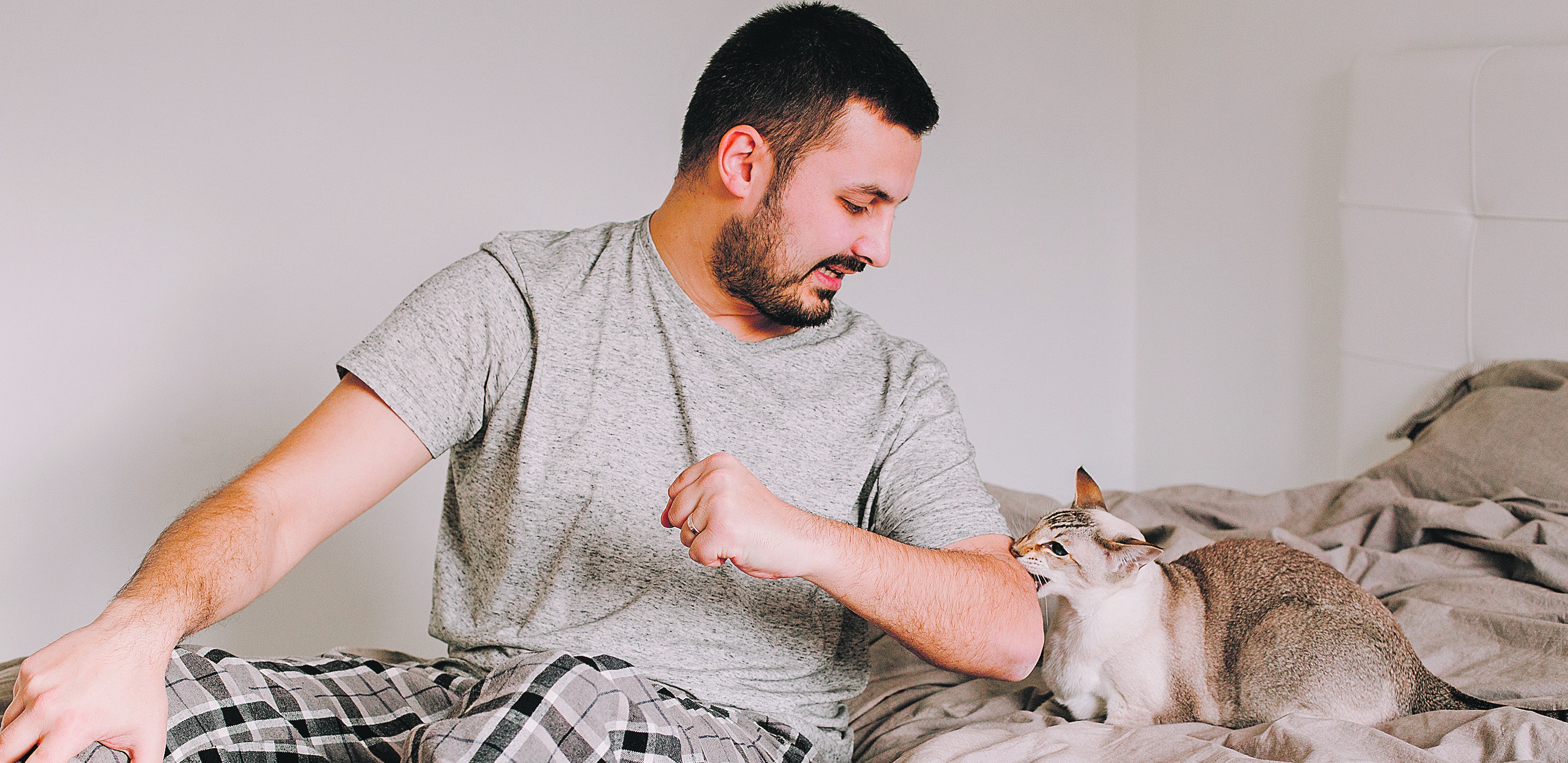 MAČKA POD STRESOM Baš kao i ljudi, i četvoronožne ljubimice mogu biti  nervozne, a ovo su znaci koje ne treba da zanemarujete