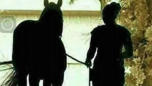 DA LI DEVOJKA I KONJ ODLAZE ILI DOLAZE? Fotografija zbog koje ljudi "razbijaju glavu", a odgovor nikad ne bi pogodili