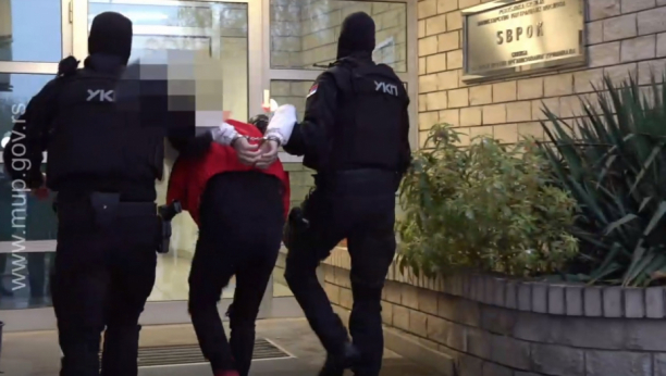 PRONAĐENA SUMNJIVA PLANTAŽA Hitna akcija policije kod Doljevca, tri osobe momentalno uhapšene (FOTO/VIDEO)