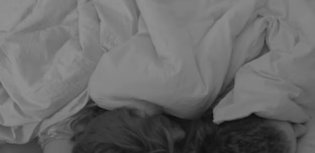 ŠOKANTNO Miljana krenula u akciju da opet osvoji Zolu, njegova reakcija je hit!