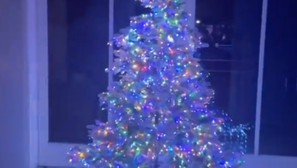 NOVOGODIŠNJA JELKA TREBA DA STOJI BAŠ NA OVOM MESTU Ispoštujte 1 pravilo i novac će vam bukvalno padati u krilo