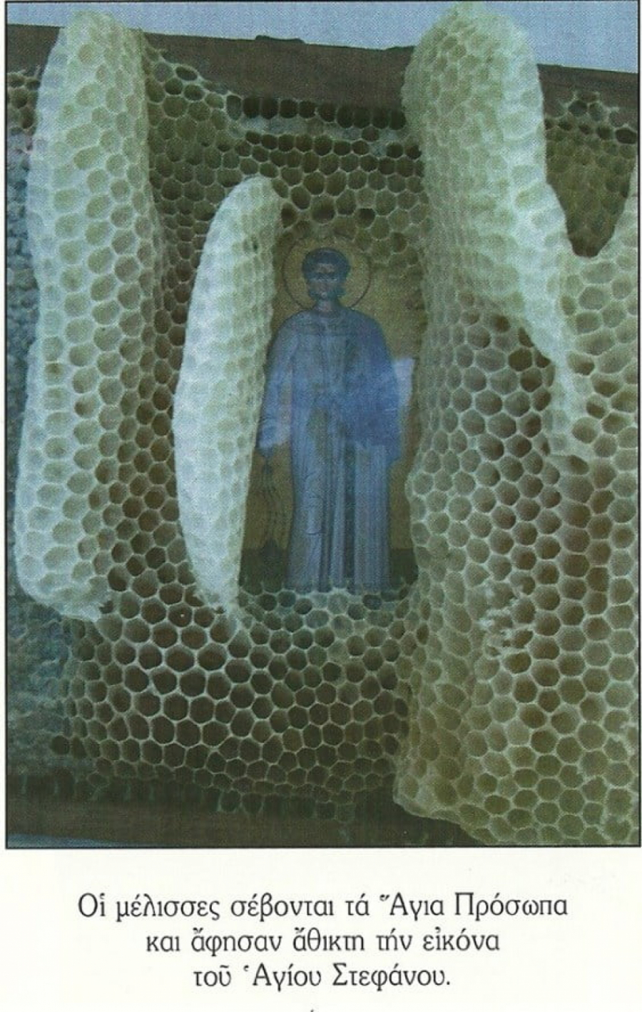 O OVOM ČUDU PRIČA CEO SVET Pčelar postavio ikone u košnice, a kada ih je otvorio ostao je zapanjen!