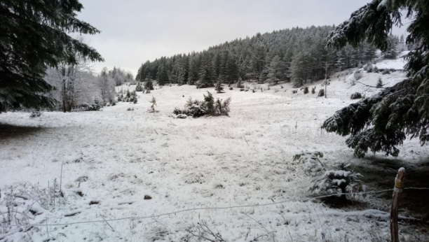 METEOROLOZI NAJAVLJUJU: Sneg samo na planinama, u  gradovima ga neće biti do Nove godine!