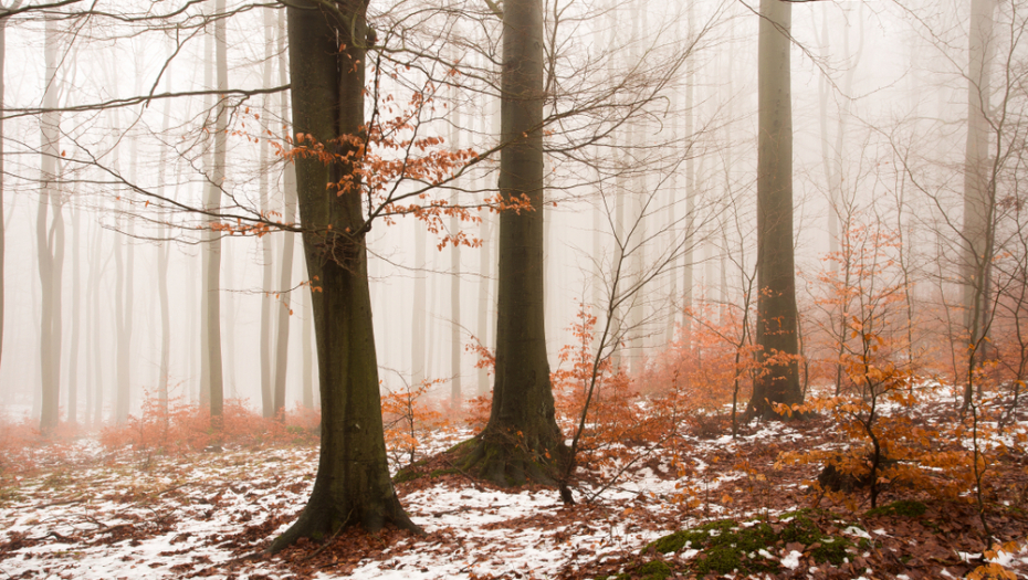 POSLEDNJI DAN NOVEMBRA Vreme u susret decembru: Sneg je na pragu!