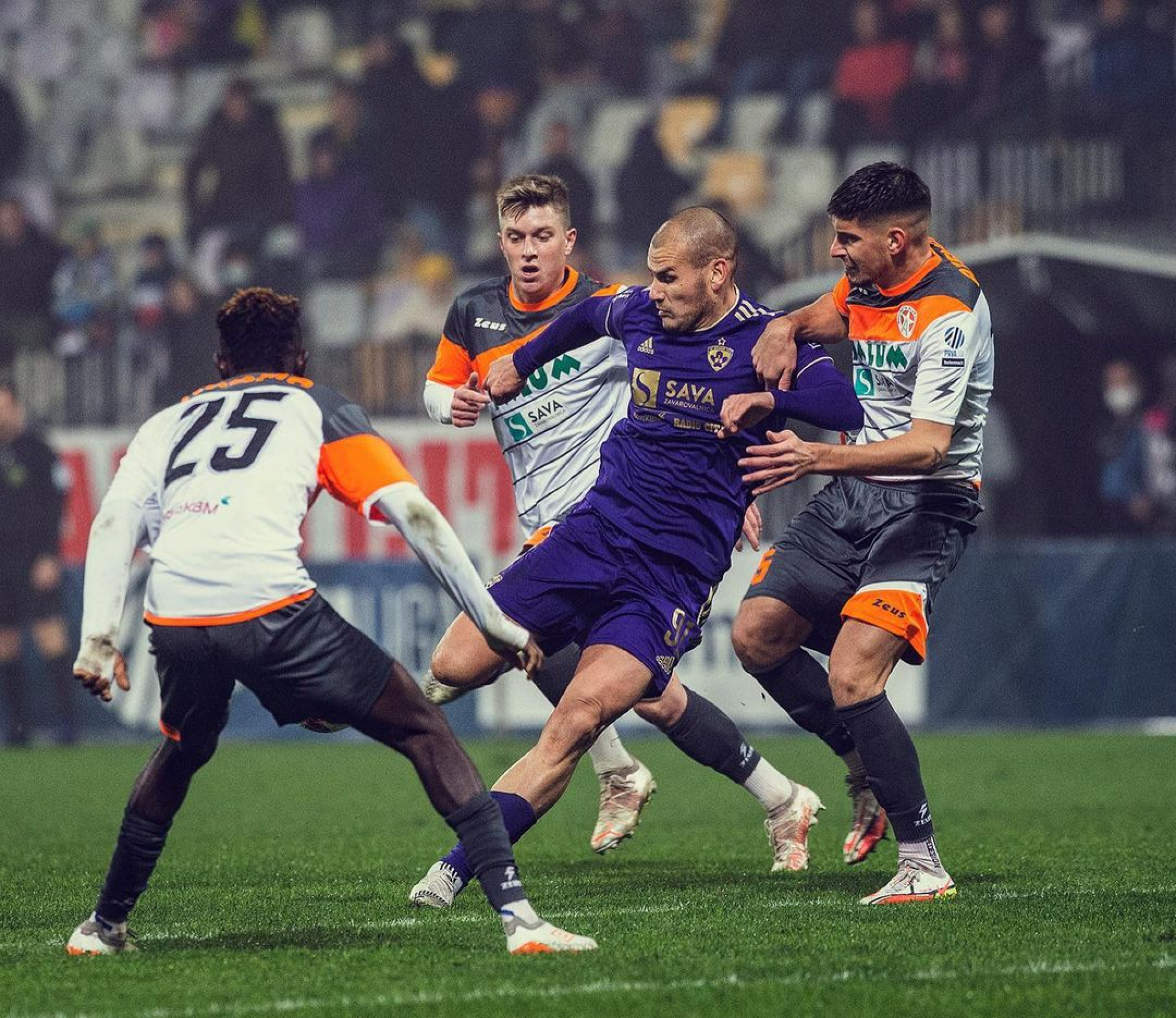 ZALUDEO JE HRVATE, POSTAO MILJENIK 