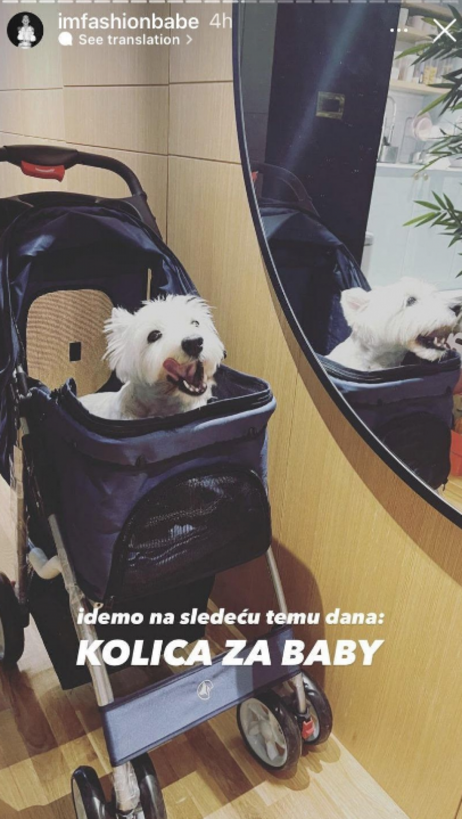 NJENE REČI ĆE VAS RASPLAKATI! Dunju Jovanić surovo napali zbog psa!