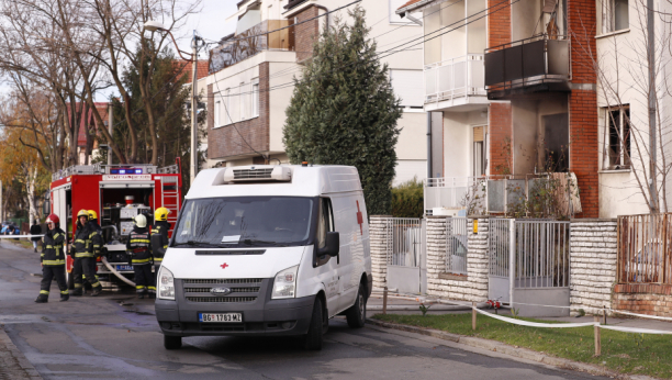 PRODAVAČICA NESTALA, PROFESOR IZGOREO! Vatrogasci se juče krvnički borili s vatrenim stihijama u Zemunu i Obrenovcu