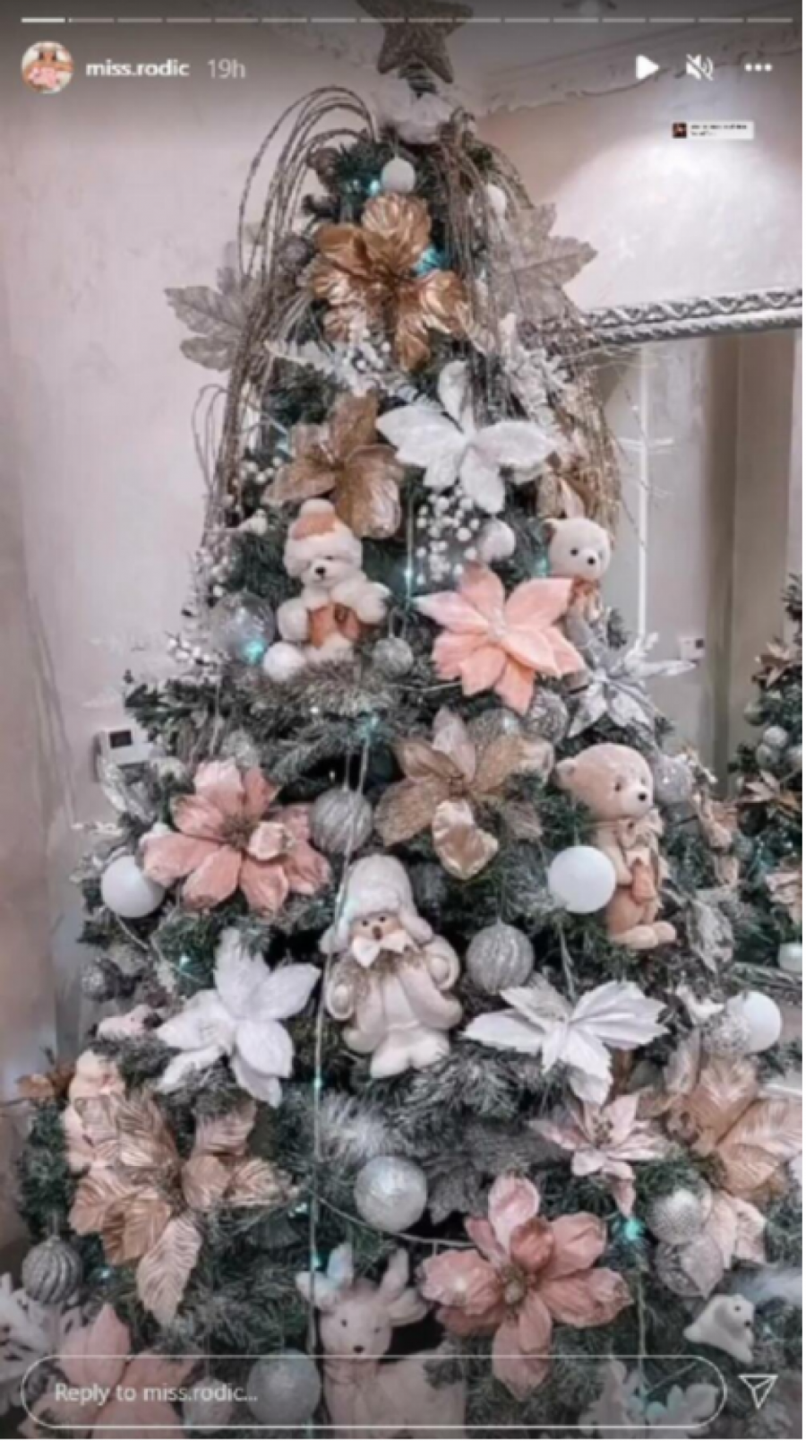 KAO IZ BAJKE Nataša Rodić pokazala kako su okitili dom u Titelu za praznike, mali Željko i Zoran će uživati! (FOTO)