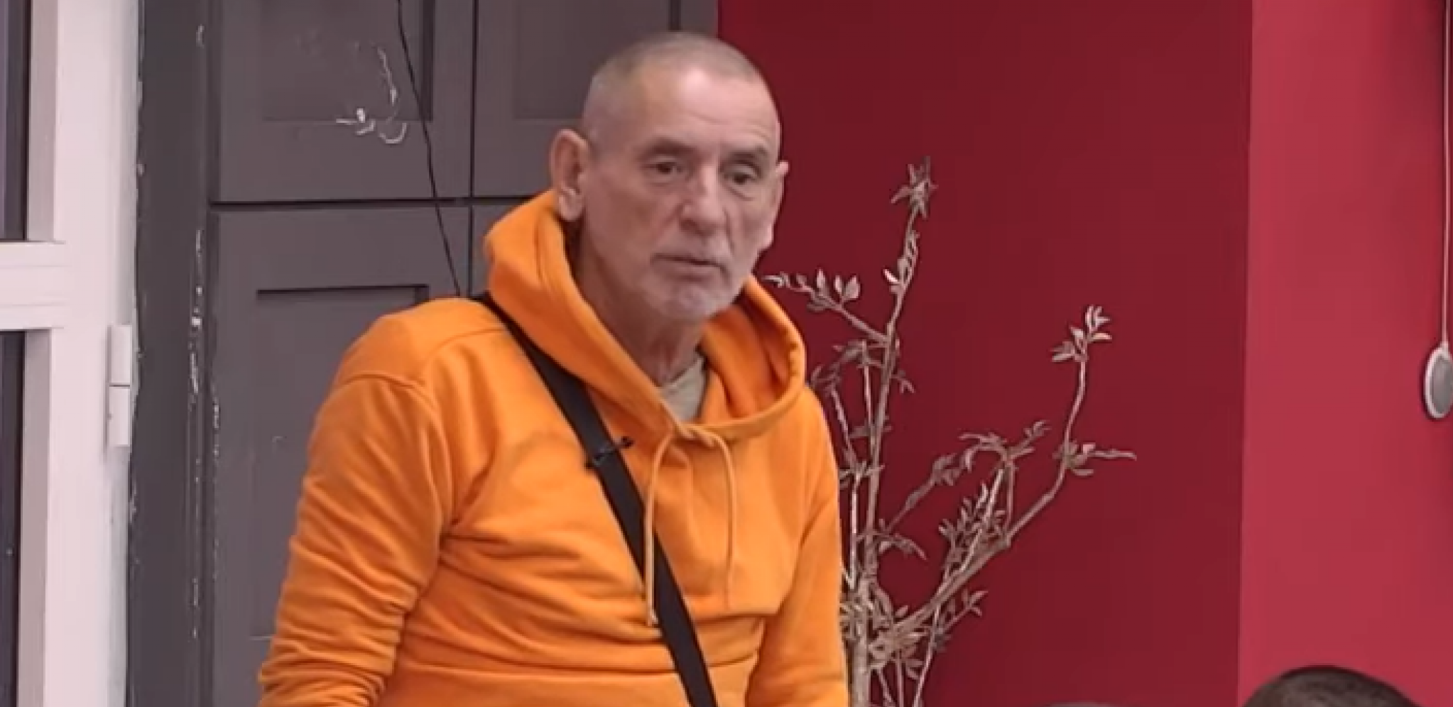 LEPI MIĆA HITNO HOSPITALIZOVAN: Celu noć imao UŽASNE BOLOVE, otkriveno pravo stanje!