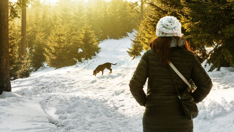 NE DOZVOLITE DA VAŠ LJUBIMAC JEDE SNEG Evo kako izbeći opasnosti koje vrebaju pse dok ih šetate zimi