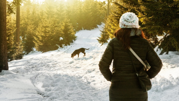 NE DOZVOLITE DA VAŠ LJUBIMAC JEDE SNEG Evo kako izbeći opasnosti koje vrebaju pse dok ih šetate zimi