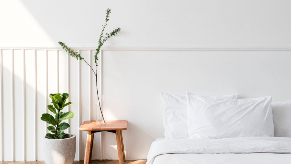 Pravi izbor: Ako držite ove biljke u spavaćoj sobi, pozitivno će uticati na zdravlje