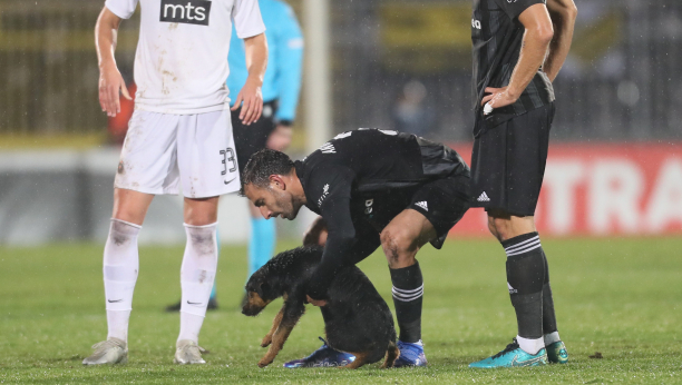 DOGNALDO POSTAO SVETSKA SENZACIJA! Partizan pokreće postupak zbog psa i velike nužde na terenu, ko je na kraju kriv?