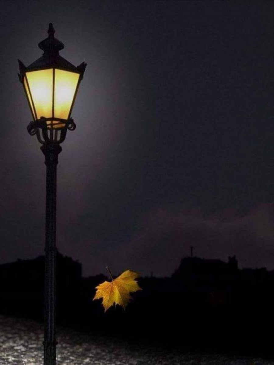 HOROSKOP ZA ČETVRTAK, 6. JANUAR Jarac treba da se čuva prevare, Vaga ulazi u misterioznu vezu, problemi sa leđima za Lavove