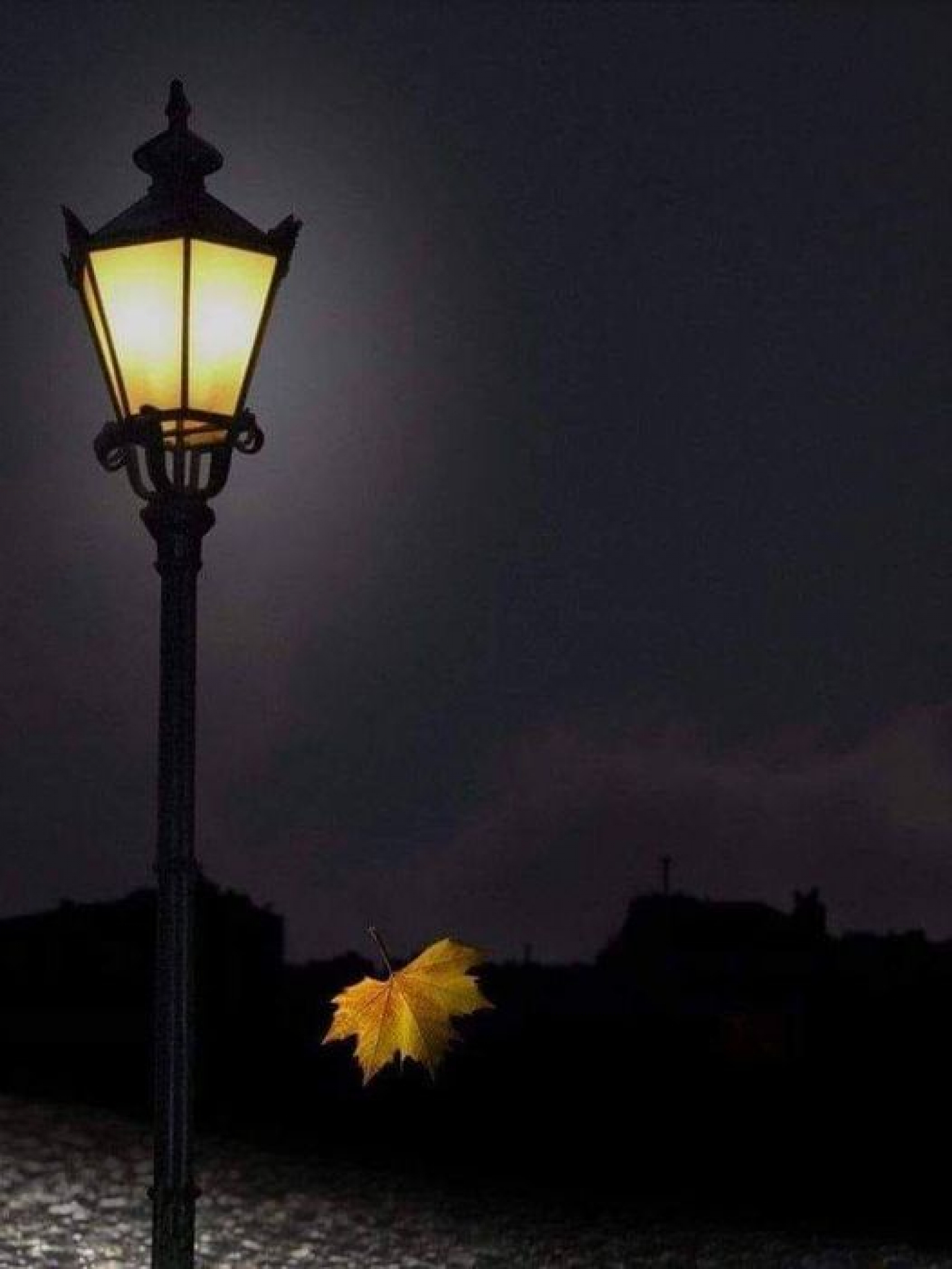 HOROSKOP ZA SUBOTU, 11. DECEMBAR Blizance će obradovati novčani dobitak, Bik je emotivno nedostupan, Jarac spreman na poslovne promene