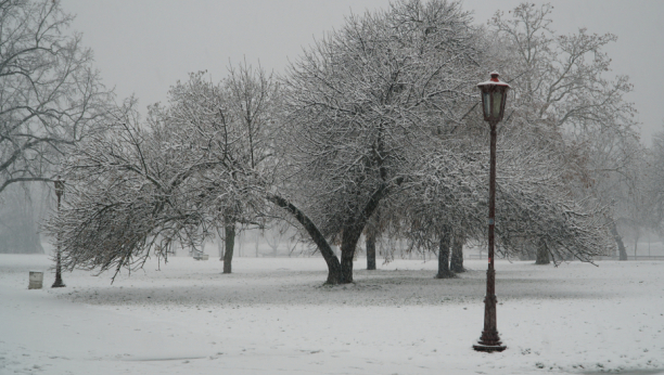 IZBACILI GOLO DETE NA SIBIRSKU ZIMU Krivični postupak protiv roditelja: Surovo kaznili dečaka (5)