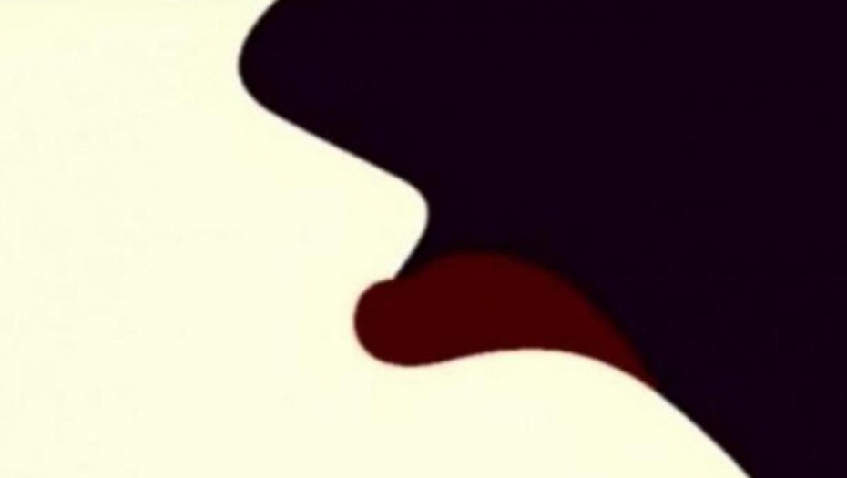 TEST SA HARVARDA Bez greške otkriva za šta ste rođeni! Pogledajte sliku – ako vidite jednu stvar, vi ste genije