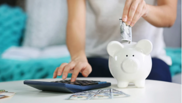 EVO ZAŠTO NEMATE PARA Ovu su četiri ključna razloga, a jedan od njih je i nasledan