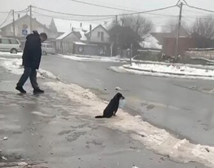 OD NIKOLJDANA SIBIR U SRBIJI Ovo je bio samo početak, ledena zima tek nastupa!