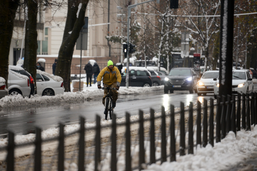 GRADSKO ZELENILO INTERVENISALO 750 PUTA Radojičić: Nastala šteta biće nadoknađena građanima!